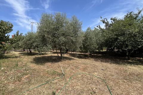 Istra , Višnjan - građevinsko zemljište za gradnju obiteljske kuće