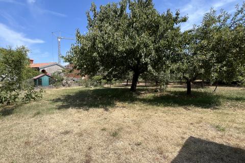 Istra , Višnjan - građevinsko zemljište za gradnju obiteljske kuće