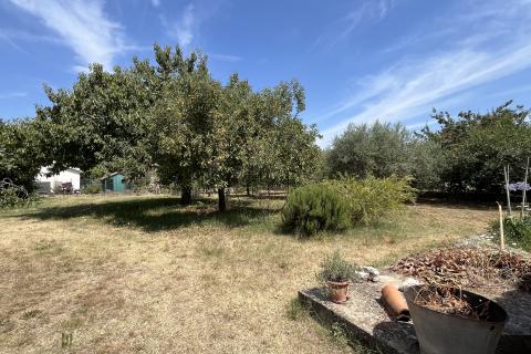 Istra , Višnjan - građevinsko zemljište za gradnju obiteljske kuće