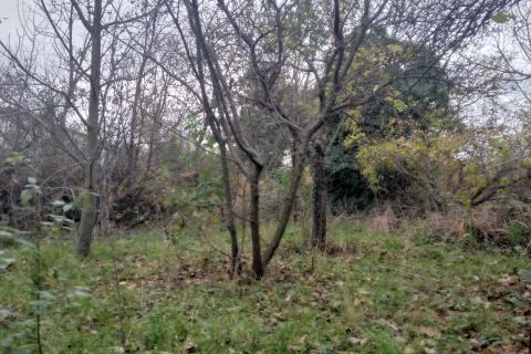 Rijeka, Kastav, građevinsko zemljište 870 m2