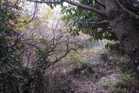 Rijeka, Kastav, građevinsko zemljište 870 m2