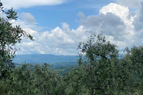 Terreno non edificabile Cerovlje, 45.398m2