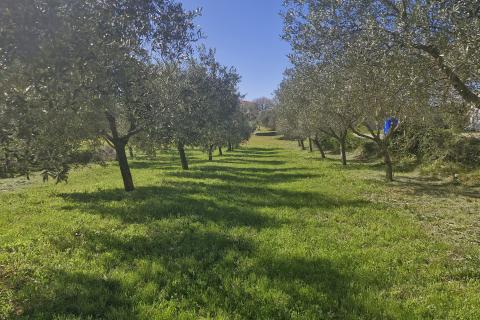 Istria, Peruški – Building plot near the sea and beaches, 493 m2