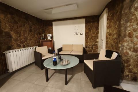 Casa Donja Drenova, Sveti Ivan Zelina, 580m2