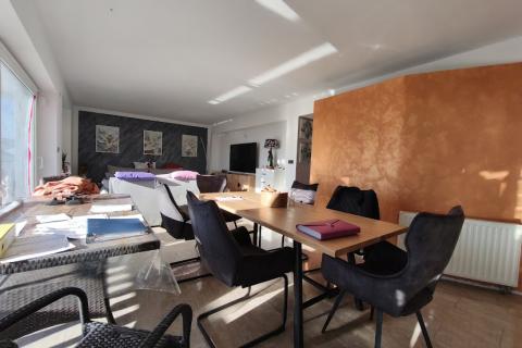 Casa Donja Drenova, Sveti Ivan Zelina, 580m2