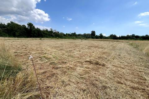 Niet bouwgrond Šišan, Ližnjan, 880m2