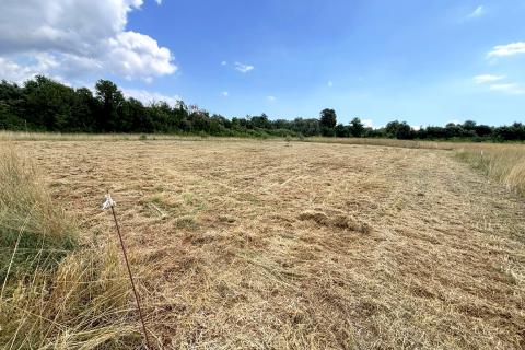 Niet bouwgrond Šišan, Ližnjan, 880m2