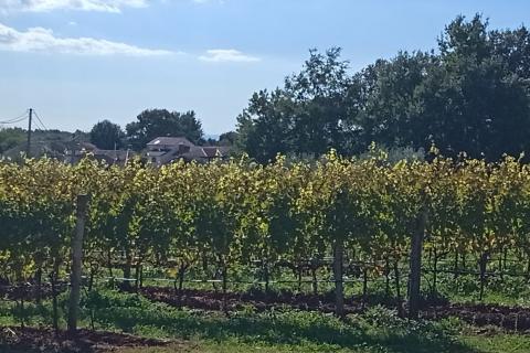 Stavbno zemljišče Baldaši, Vižinada, 1.125m2