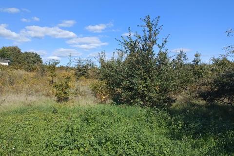 Stavbno zemljišče Baldaši, Vižinada, 1.125m2