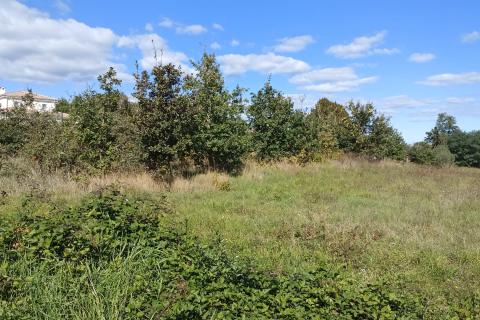 Stavbno zemljišče Baldaši, Vižinada, 1.125m2