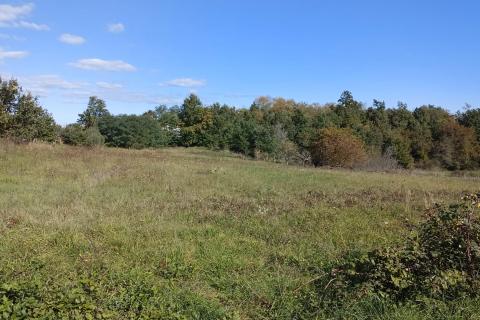 Stavbno zemljišče Baldaši, Vižinada, 1.125m2