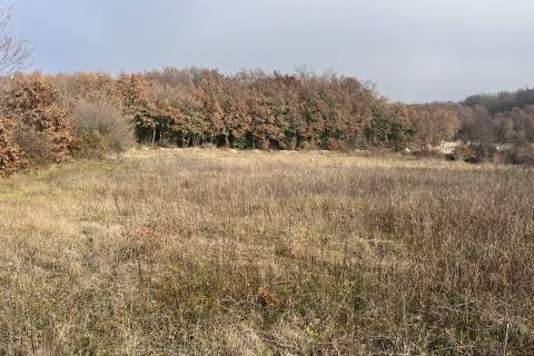 Stavbno zemljišče Kringa, Tinjan, 2.093m2