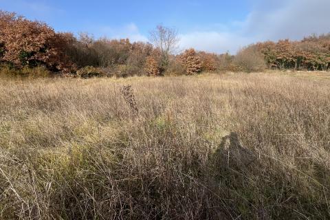 Stavbno zemljišče Kringa, Tinjan, 2.093m2