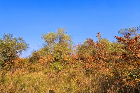 Земельный участок строительного назначения Brtonigla, 900m2