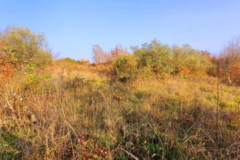 Земельный участок строительного назначения Brtonigla, 900m2