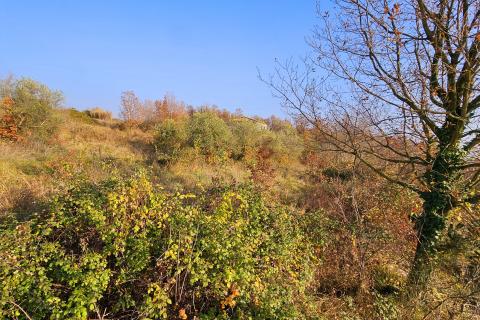 Земельный участок строительного назначения Brtonigla, 900m2