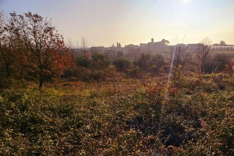 Земельный участок строительного назначения Brtonigla, 900m2