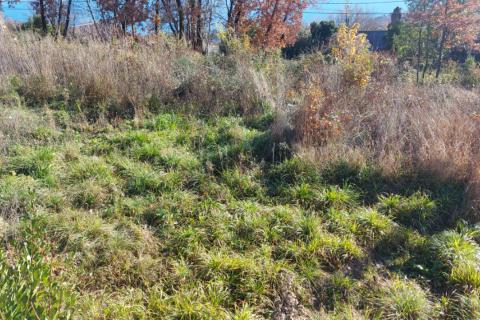 OPATIJA, Zubinići - teren 813 m2 sa panoramskim pogledom na more