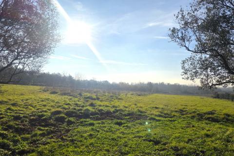 Terreno edificabile Lovrečica, Umag, 683m2