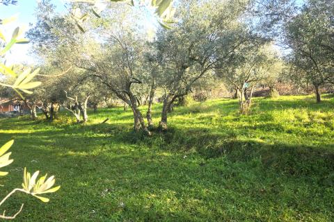 Terreno edificabile Lovrečica, Umag, 683m2