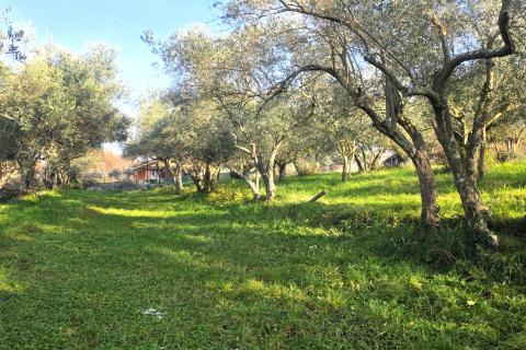 Terreno edificabile Lovrečica, Umag, 683m2