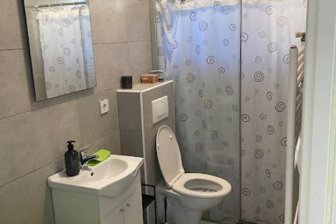 Casa Donja Drenova, Sveti Ivan Zelina, 580m2