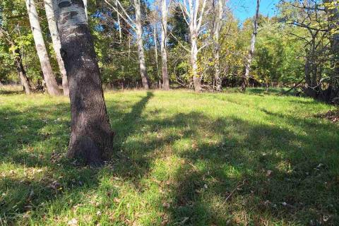 Земельный участок нестроительного назначения Ba&scaron;ka, 360m2