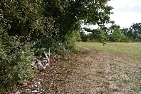 Bouwgrond Bo&scaron;kari, Svetvinčenat, 774m2