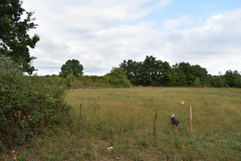 Bouwgrond Bo&scaron;kari, Svetvinčenat, 774m2