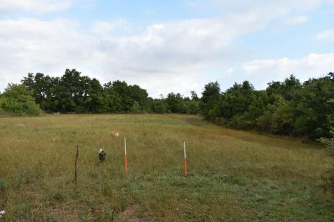 Bouwgrond Bo&scaron;kari, Svetvinčenat, 774m2