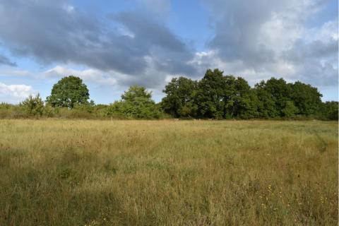 Bouwgrond Bo&scaron;kari, Svetvinčenat, 774m2