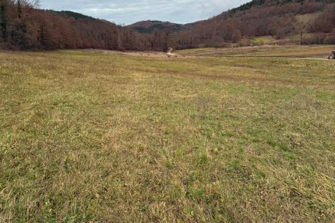 Bouwgrond Centar, Pazin, 12.860m2