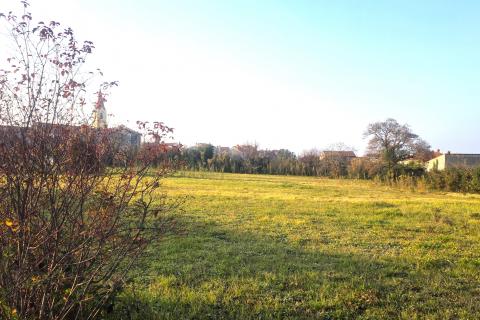 Bouwgrond Brtonigla, 881m2