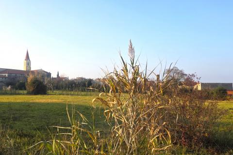 Bouwgrond Brtonigla, 881m2