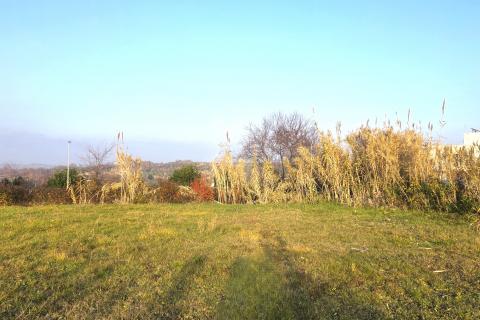 Bouwgrond Brtonigla, 881m2