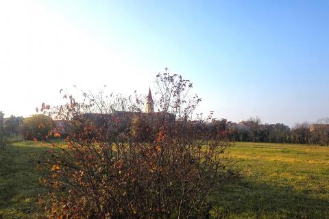 Bouwgrond Brtonigla, 881m2