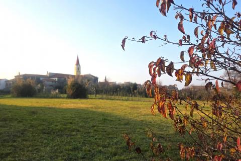 Bouwgrond Brtonigla, 881m2