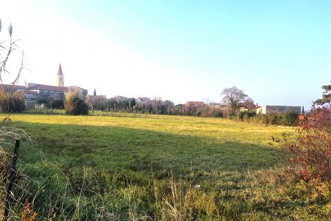Bouwgrond Brtonigla, 822m2