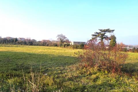 Bouwgrond Brtonigla, 822m2