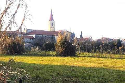 Bouwgrond Brtonigla, 822m2