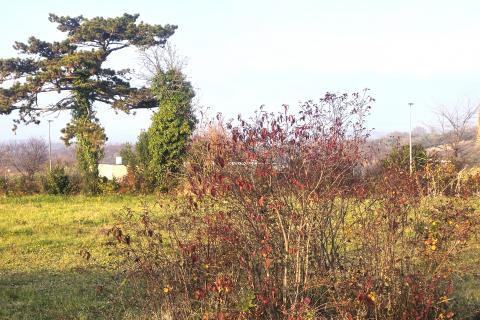 Bouwgrond Brtonigla, 822m2