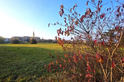 Bouwgrond Brtonigla, 822m2