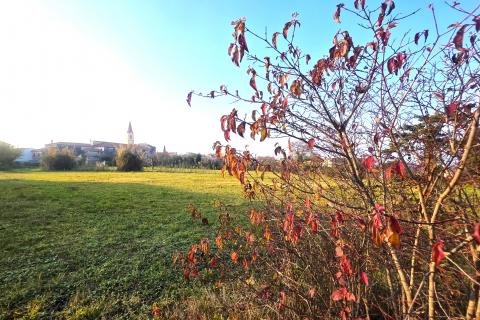 Bouwgrond Brtonigla, 1.048m2