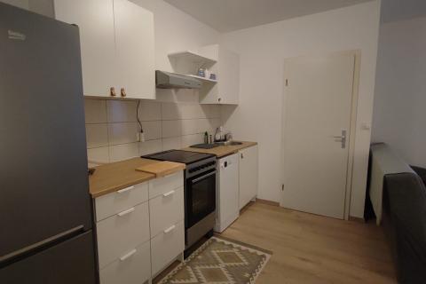 Flat/Appartement Belveder, Rijeka, 42m2