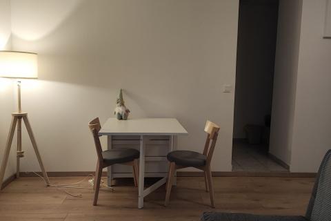 Flat/Appartement Belveder, Rijeka, 42m2