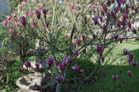 Flat/Appartement Delnice, 829m2