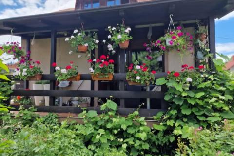 Flat/Appartement Delnice, 829m2