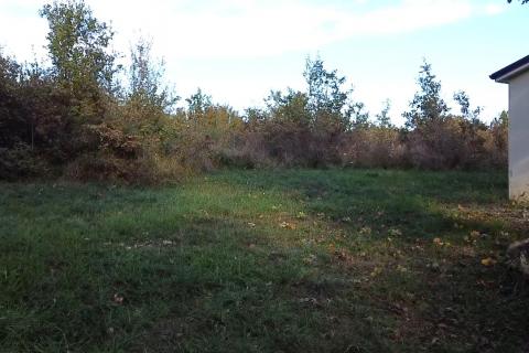 Niet bouwgrond Mu&scaron;alež, Poreč, 10.556m2