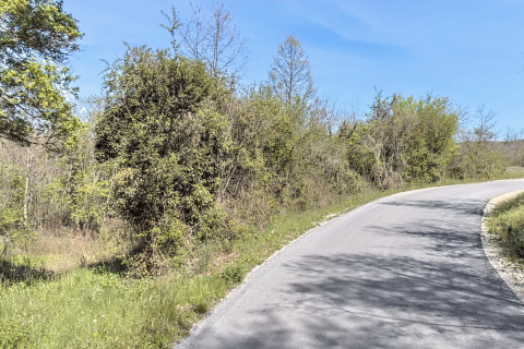 ISTRIA, ŽMINJ - Large agricultural land next to the road