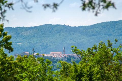 ISTRIA, BUZET - Holiday house on a hill